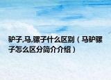 驢子,馬,騾子什么區(qū)別（馬驢騾子怎么區(qū)分簡介介紹）