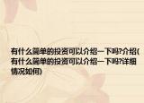 有什么簡單的投資可以介紹一下嗎?介紹(有什么簡單的投資可以介紹一下嗎?詳細情況如何)