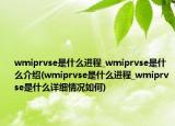 wmiprvse是什么進(jìn)程_wmiprvse是什么介紹(wmiprvse是什么進(jìn)程_wmiprvse是什么詳細(xì)情況如何)