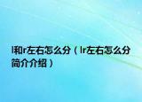 l和r左右怎么分（lr左右怎么分簡介介紹）