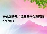 什么叫極品（極品是什么意思簡介介紹）