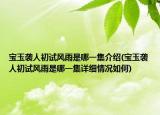 寶玉襲人初試風雨是哪一集介紹(寶玉襲人初試風雨是哪一集詳細情況如何)