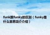 funk跟funky的區(qū)別（funky是什么意思簡(jiǎn)介介紹）