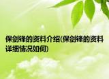 保劍鋒的資料介紹(保劍鋒的資料詳細(xì)情況如何)