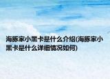 海豚家小黑卡是什么介紹(海豚家小黑卡是什么詳細(xì)情況如何)