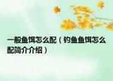 一般魚餌怎么配（釣魚魚餌怎么配簡介介紹）