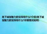 地下城加智力的寶珠有什么?介紹(地下城加智力的寶珠有什么?詳細情況如何)