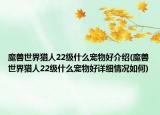 魔獸世界獵人22級什么寵物好介紹(魔獸世界獵人22級什么寵物好詳細情況如何)