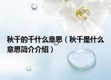 秋千的千什么意思（秋千是什么意思簡介介紹）