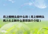 月上柳梢頭是什么詩（月上柳梢頭離人心上秋什么意思簡(jiǎn)介介紹）