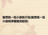 我想找一些小游戲介紹(我想找一些小游戲詳細情況如何)