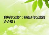 狗繩怎么套?（狗鏈子怎么套簡(jiǎn)介介紹）