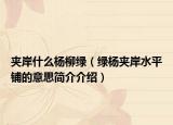夾岸什么楊柳綠（綠楊?yuàn)A岸水平鋪的意思簡介介紹）