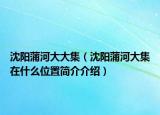 沈陽蒲河大大集（沈陽蒲河大集在什么位置簡介介紹）