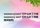 wannacry(win7 打什么補(bǔ)丁介紹 wannacry win7 打什么補(bǔ)丁詳細(xì)情況如何)