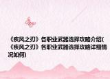 《疾風(fēng)之刃》各職業(yè)武器選擇攻略介紹(《疾風(fēng)之刃》各職業(yè)武器選擇攻略詳細(xì)情況如何)