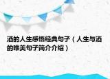 酒的人生感悟經(jīng)典句子（人生與酒的唯美句子簡(jiǎn)介介紹）