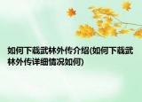 如何下載武林外傳介紹(如何下載武林外傳詳細(xì)情況如何)