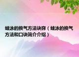 蛙泳的換氣方法訣竅（蛙泳的換氣方法和口訣簡(jiǎn)介介紹）