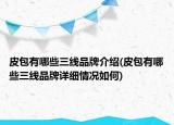 皮包有哪些三線品牌介紹(皮包有哪些三線品牌詳細情況如何)
