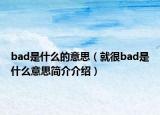 bad是什么的意思（就很bad是什么意思簡介介紹）
