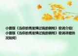小曾版《當(dāng)你的秀發(fā)拂過我的鋼槍》歌詞介紹(小曾版《當(dāng)你的秀發(fā)拂過我的鋼槍》歌詞詳細(xì)情況如何)