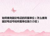如何查詢固定電話的所屬單位（怎么查詢固定電話號碼所屬單位簡介介紹）