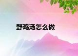 野雞湯怎么做