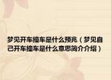 夢(mèng)見(jiàn)開(kāi)車(chē)撞車(chē)是什么預(yù)兆（夢(mèng)見(jiàn)自己開(kāi)車(chē)撞車(chē)是什么意思簡(jiǎn)介介紹）