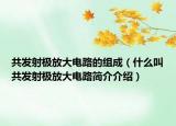 共發(fā)射極放大電路的組成（什么叫共發(fā)射極放大電路簡介介紹）