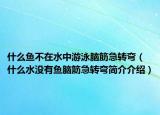 什么魚不在水中游泳腦筋急轉彎（什么水沒有魚腦筋急轉彎簡介介紹）