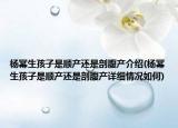 楊冪生孩子是順產(chǎn)還是剖腹產(chǎn)介紹(楊冪生孩子是順產(chǎn)還是剖腹產(chǎn)詳細情況如何)