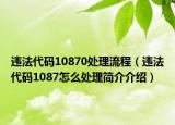 違法代碼10870處理流程（違法代碼1087怎么處理簡介介紹）