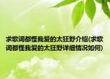 求歌詞都怪我愛的太狂野介紹(求歌詞都怪我愛的太狂野詳細情況如何)