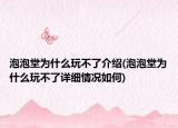 泡泡堂為什么玩不了介紹(泡泡堂為什么玩不了詳細情況如何)