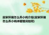 居家環(huán)境怎么養(yǎng)小雞介紹(居家環(huán)境怎么養(yǎng)小雞詳細(xì)情況如何)