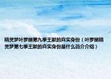 精靈夢葉羅麗第九季王默的真實身份（葉羅麗精靈夢第七季王默的真實身份是什么簡介介紹）
