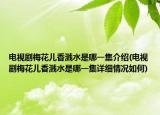 電視劇梅花兒香濺水是哪一集介紹(電視劇梅花兒香濺水是哪一集詳細情況如何)