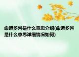 命運(yùn)多舛是什么意思介紹(命運(yùn)多舛是什么意思詳細(xì)情況如何)