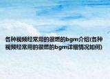 各種視頻經(jīng)常用的很燃的bgm介紹(各種視頻經(jīng)常用的很燃的bgm詳細(xì)情況如何)