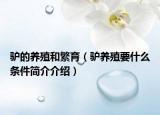 驢的養(yǎng)殖和繁育（驢養(yǎng)殖要什么條件簡介介紹）