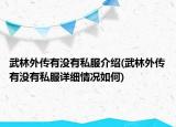 武林外傳有沒有私服介紹(武林外傳有沒有私服詳細(xì)情況如何)