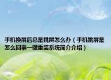 手機(jī)換屏后總是跳屏怎么辦（手機(jī)跳屏是怎么回事一鍵重裝系統(tǒng)簡(jiǎn)介介紹）