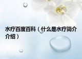 水療百度百科（什么是水療簡介介紹）