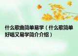 什么歌曲簡單易學（什么歌簡單好唱又易學簡介介紹）
