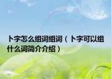 卜字怎么組詞組詞（卜字可以組什么詞簡(jiǎn)介介紹）