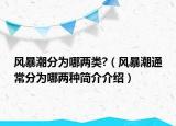 風暴潮分為哪兩類?（風暴潮通常分為哪兩種簡介介紹）