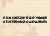 暗黑魔龍希瓦娜有特效嗎介紹(暗黑魔龍希瓦娜有特效嗎詳細(xì)情況如何)