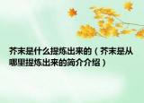芥末是什么提煉出來的（芥末是從哪里提煉出來的簡介介紹）