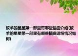 放羊的星星第一部里有哪些插曲介紹(放羊的星星第一部里有哪些插曲詳細(xì)情況如何)